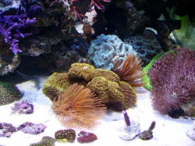 PICT0739.JPG