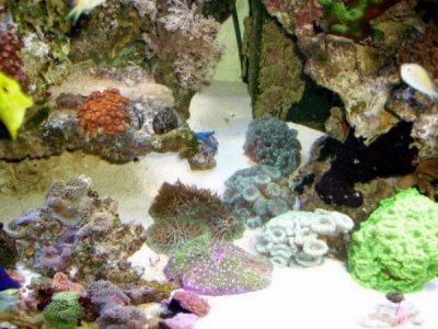 PICT0747.JPG