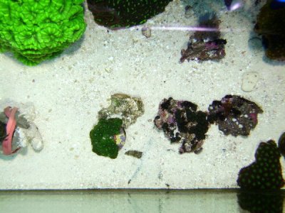 PICT0748.JPG