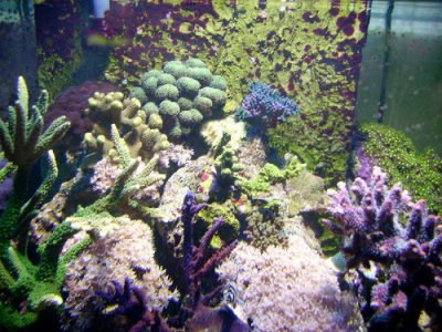 PICT0758.JPG