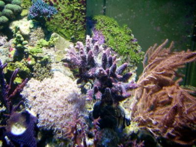 PICT0759.JPG