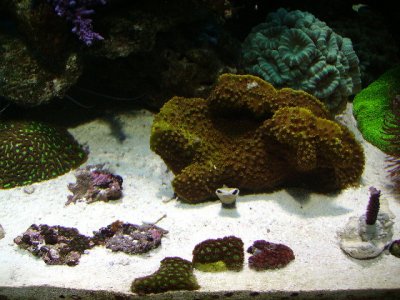 PICT0763.JPG