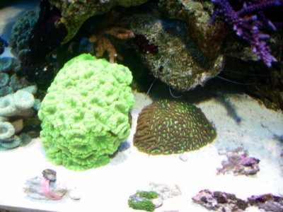 PICT0761.JPG