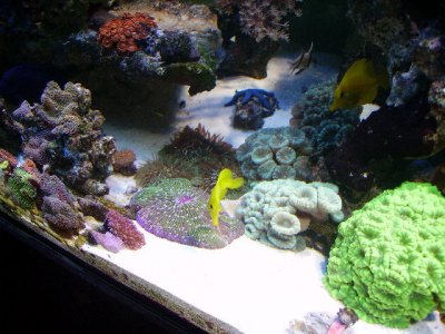 PICT0765.JPG