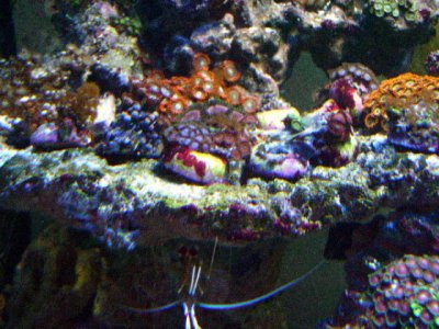PICT0770.JPG