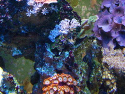 PICT0771.JPG