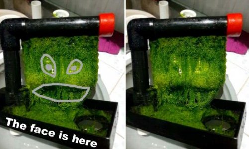 swamp beast face.jpg