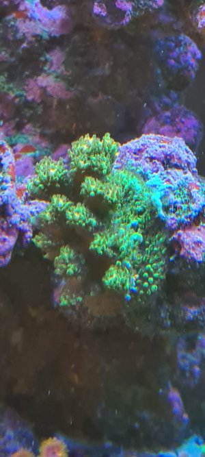 46311718-BF4D-4FEC-AD05-11CB135F735A.jpeg