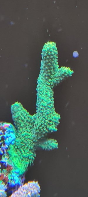 2E592CA5-0624-4E6E-A7A2-E42023D490E3.jpeg
