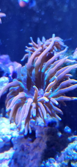20230311_202431.jpg