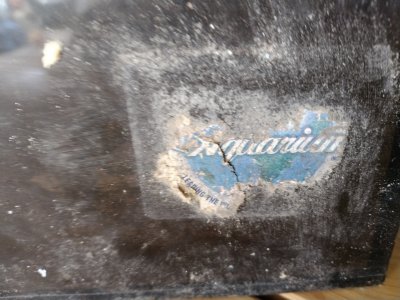 IMG_20230417_152712.jpg