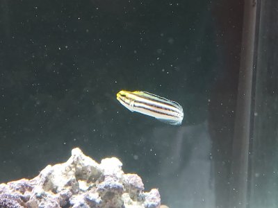 20230514_181744.jpg