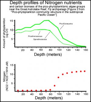 NitrogenGraph.jpg