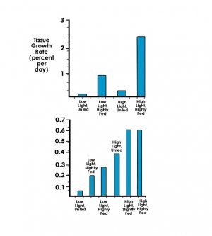 Effect of natural zooplankton feeding fig 5.jpg