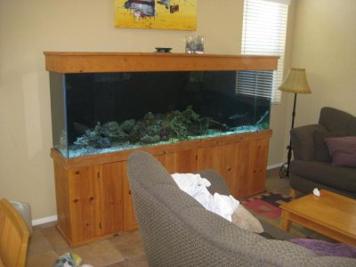 aquarium 018.jpg