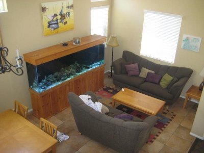 aquarium 019.jpg