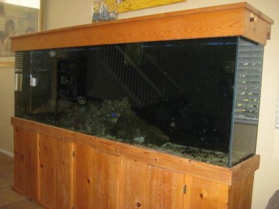 aquarium 002.jpg