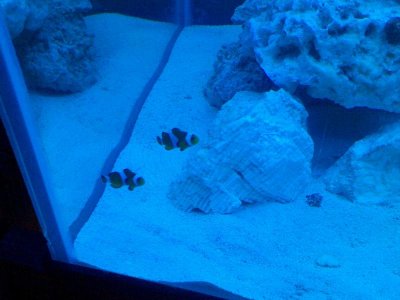 2010-05-30 00.15.15.jpg