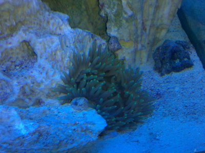 2010-05-30 00.15.41.jpg