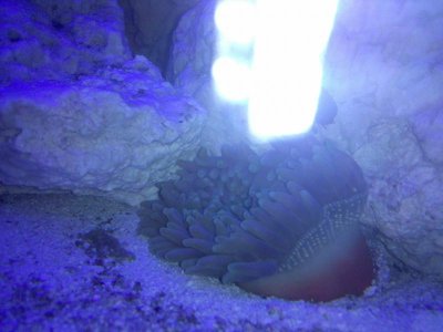 2010-05-31 08.12.07.jpg