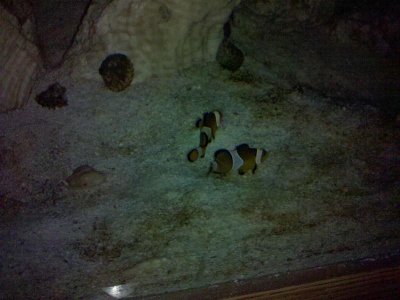 2010-06-04 01.58.42.jpg