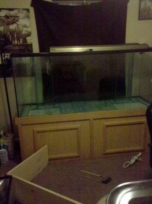 2010-06-06 02.14.58.jpg