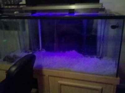 2010-06-06 06.02.49.jpg