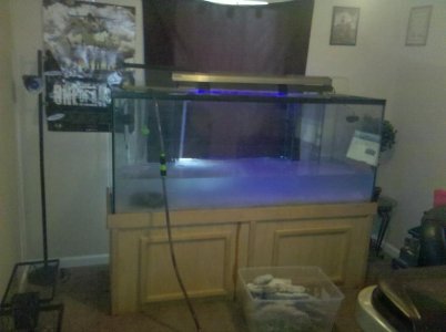 2010-06-06 11.32.57.jpg