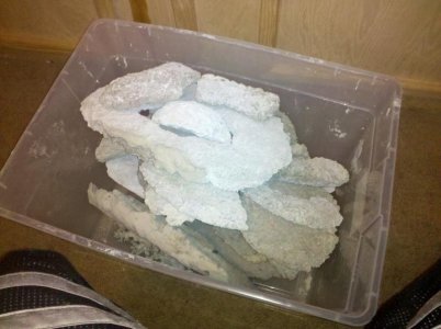 2010-06-06 11.33.24.jpg