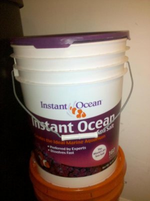 2010-06-06 11.35.31.jpg