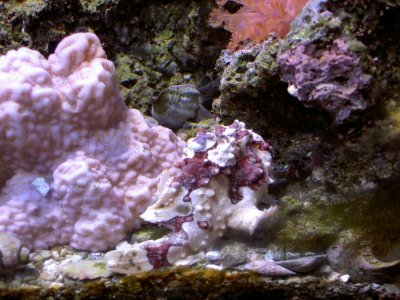 PICT4472.jpg