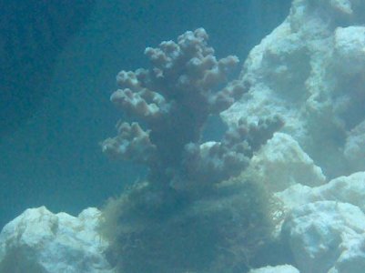 2010-05-23 19.46.59.jpg