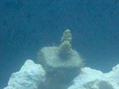 2010-05-23 19.46.53.jpg