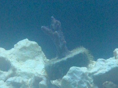 2010-05-23 19.46.47.jpg