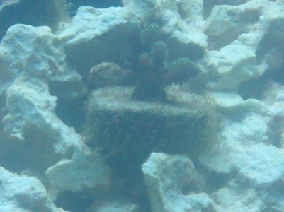 2010-05-23 19.46.40.jpg