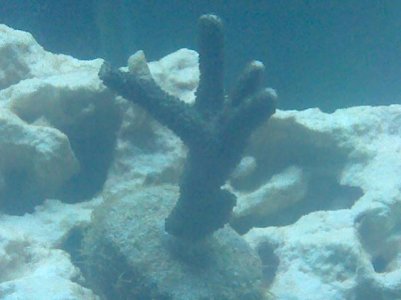 2010-05-23 19.46.33.jpg