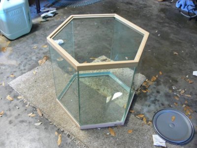 hex tank 001.jpg