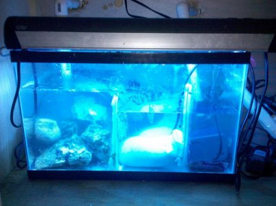 2010-06-07 00.50.59.jpg