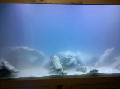 2010-06-07 00.51.16.jpg