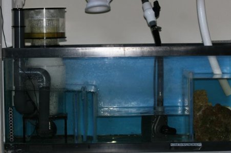 Reef Octopus 160 Skimmer.jpg