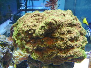PICT0022.jpg