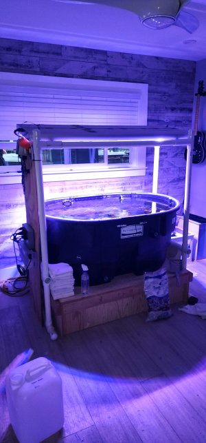 150 Gallon Stock Tank.jpg