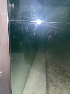 IMG_2585.jpeg
