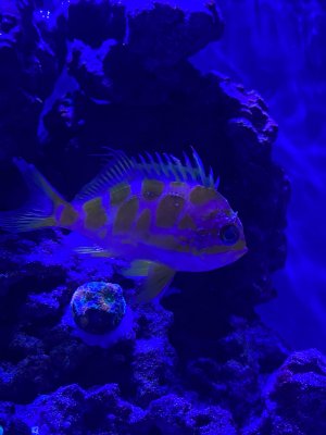 IMG_6019.jpeg