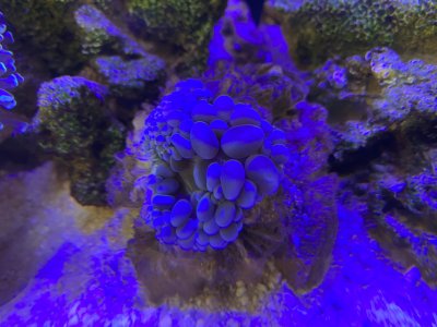 IMG_2540.jpeg