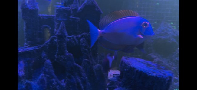 IMG_1178.jpg
