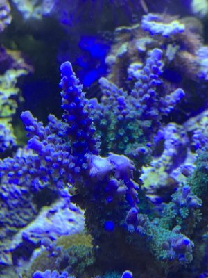 IMG_5002.jpeg