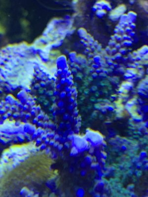 IMG_5003.jpeg