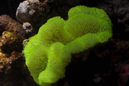 DSC_9584.jpg