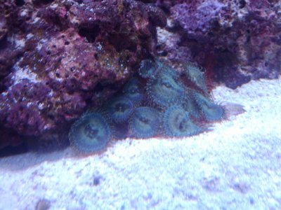 2010-06-08 15.44.03.jpg